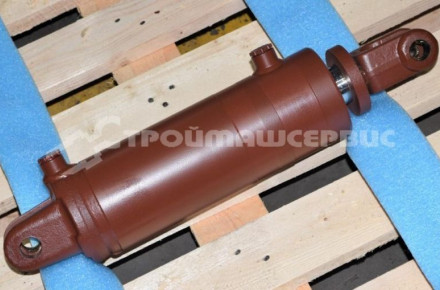 Гидроцилиндр рабочего органа ЦГ-100.50х200.01-01